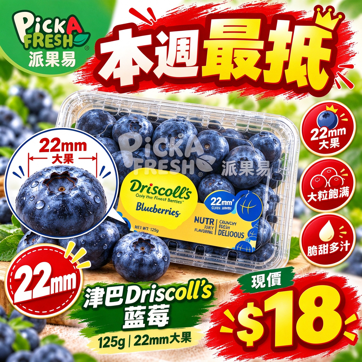 Arrived] Zimbabwe Driscoll's Blueberries 125G 22mm 1 box – 派果易