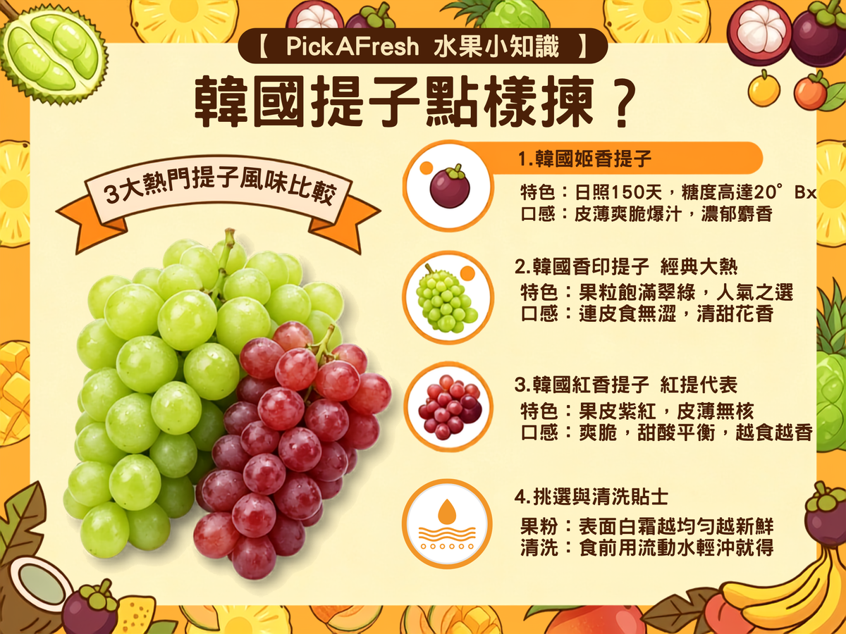 韓國提子家族比較（香印 vs 姬香 vs 紅香）