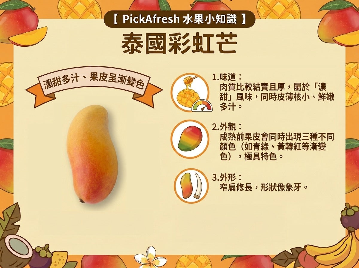 泰國彩虹芒