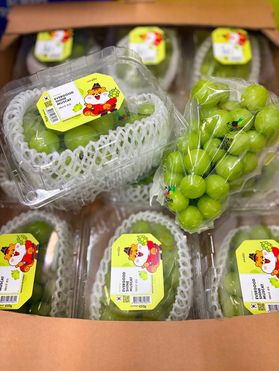 Korean Shine Muscat Grapes 450g (1 box)