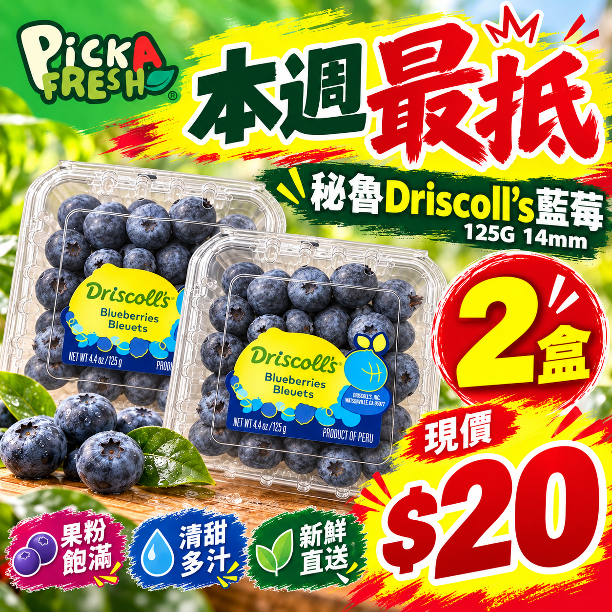 [抵]秘魯driscoll's藍莓125G 14mm 2盒
