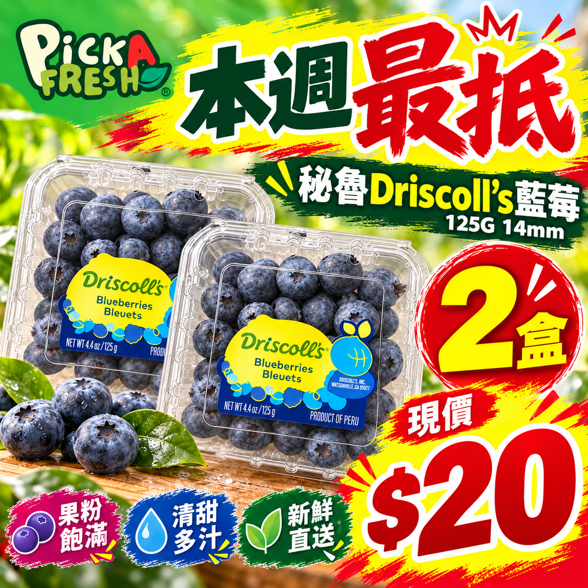 Driscoll's Peruvian Blueberries 125g 14mm, 2 packs