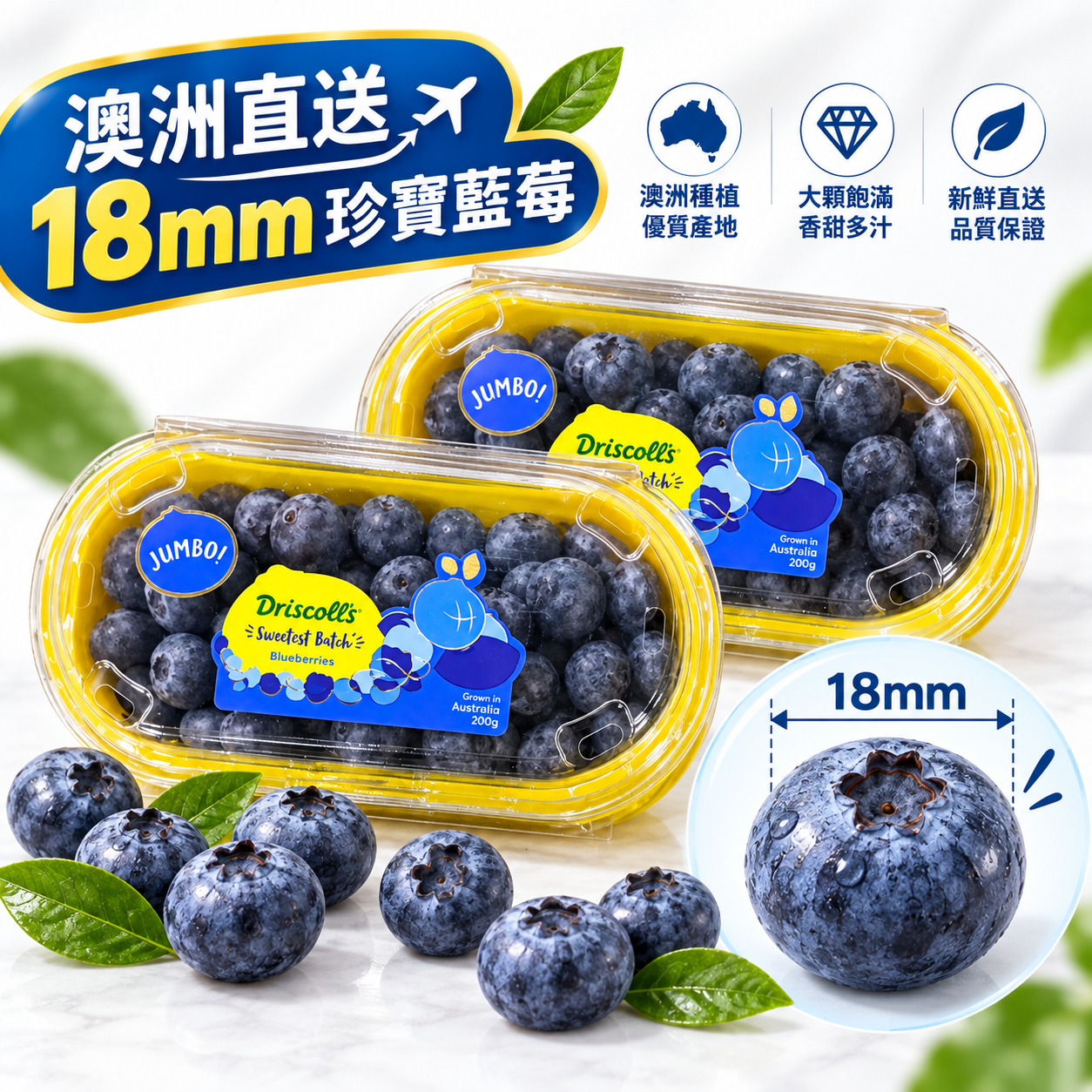 Driscoll's 澳洲珍寶藍莓 18mm 200g 2盒