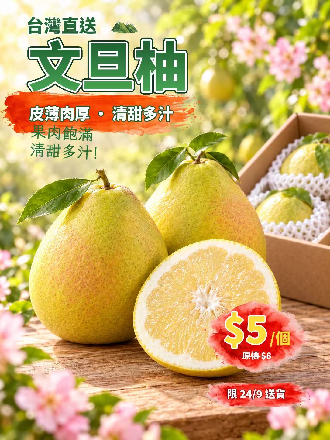 「限24/9自取 南區快閃」台灣文旦柚 1個