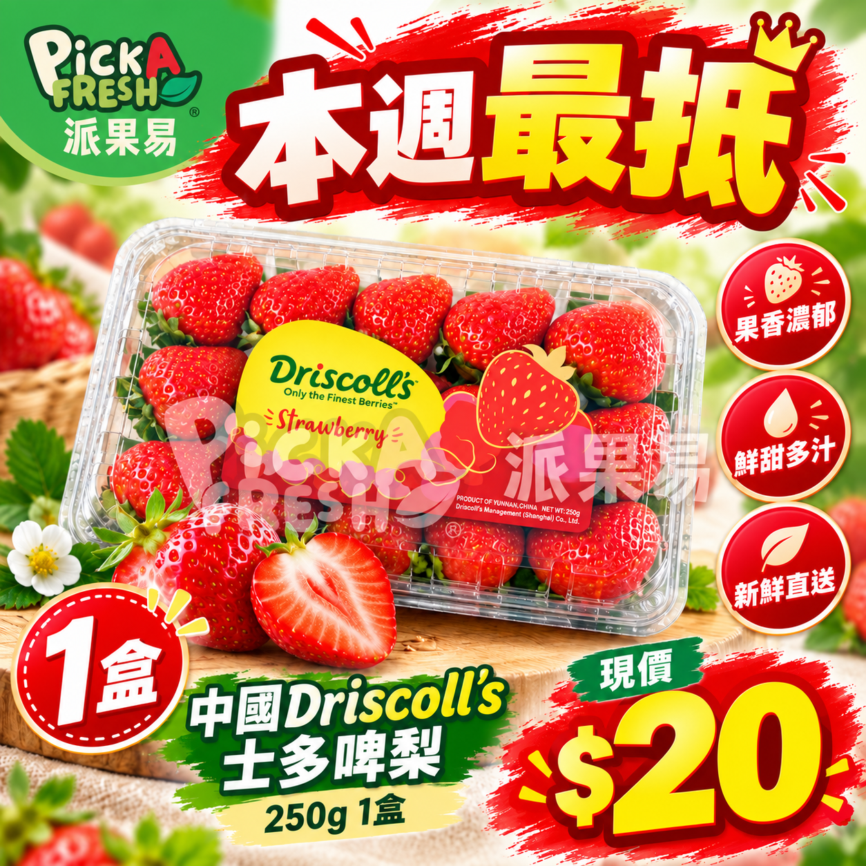 Arrived] Zimbabwe Driscoll's Blueberries 125G 22mm 1 box – 派果易