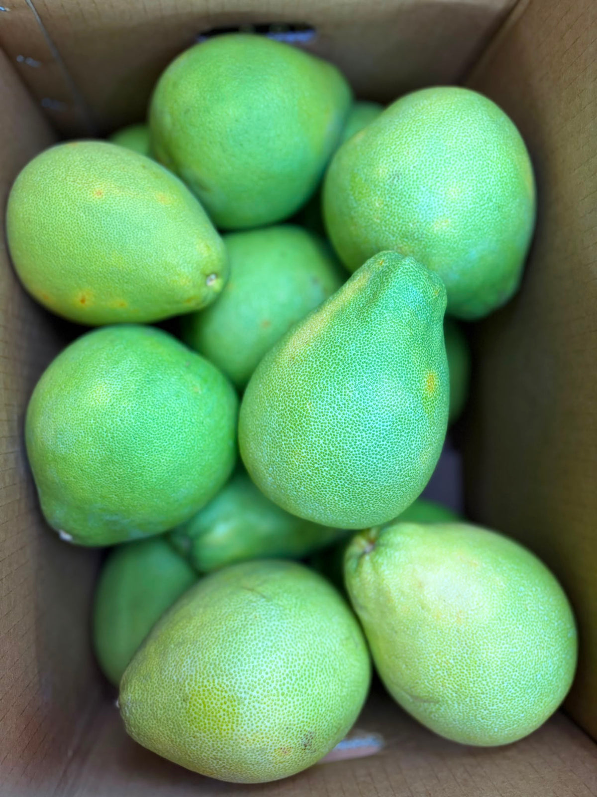 Limited Time Offer: Taiwan Pomelo, 2 pieces