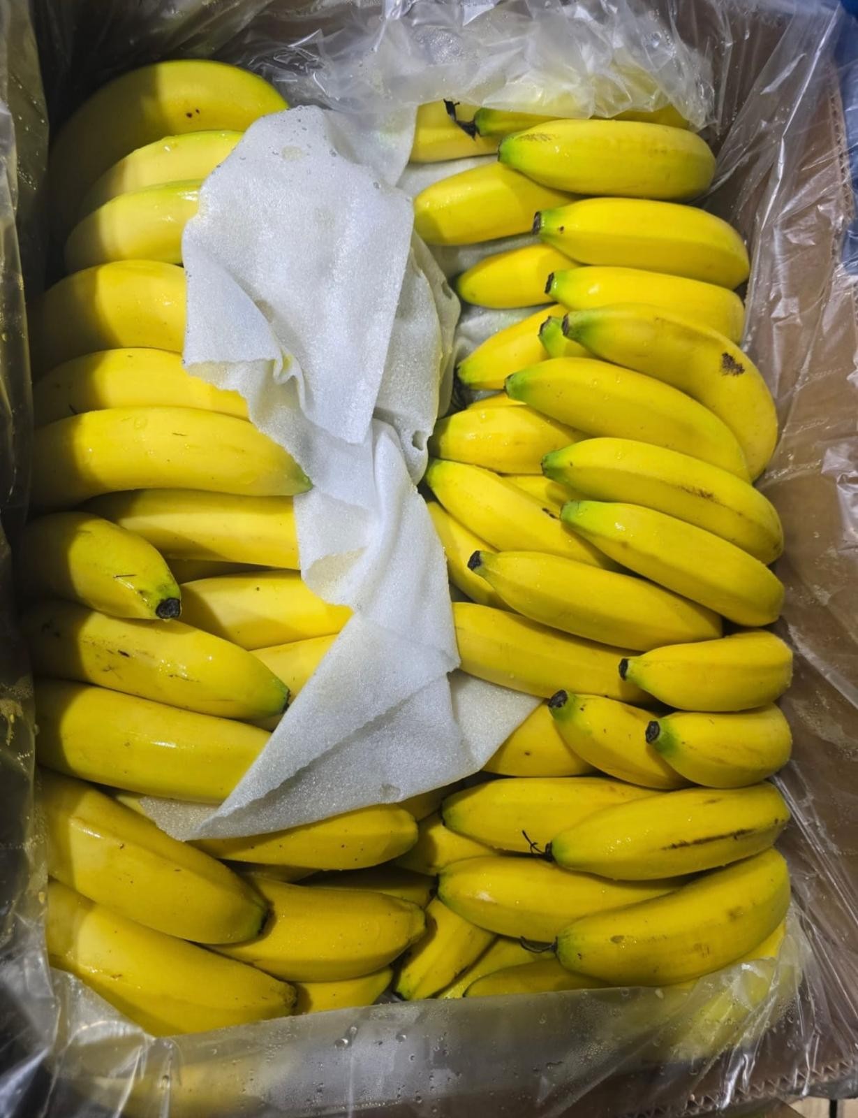 菲律賓香蕉 1磅