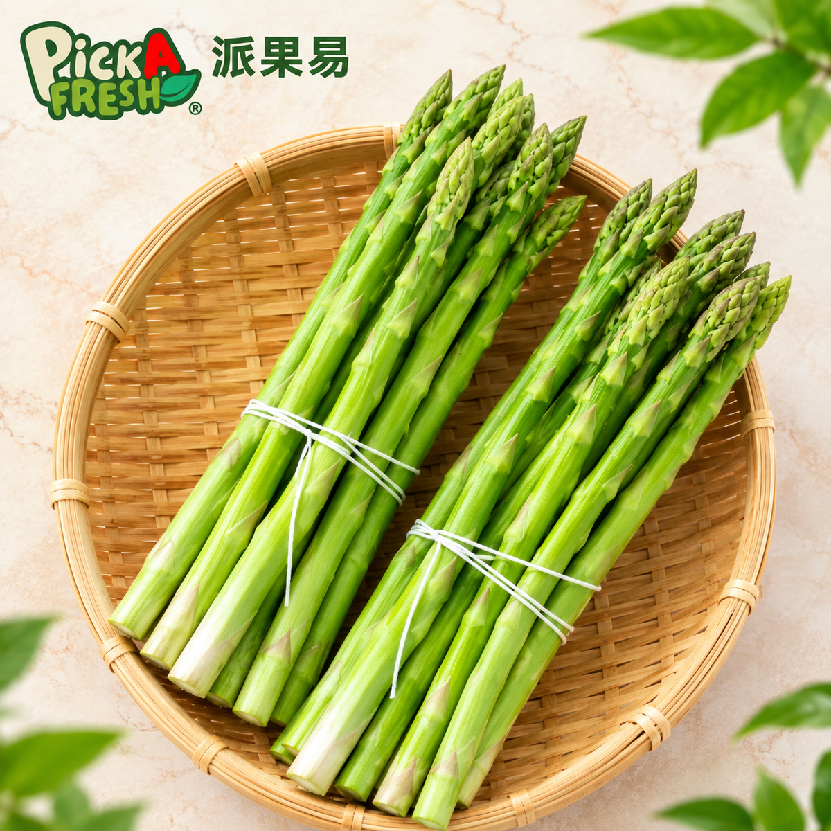 日本蘆筍120G 2束