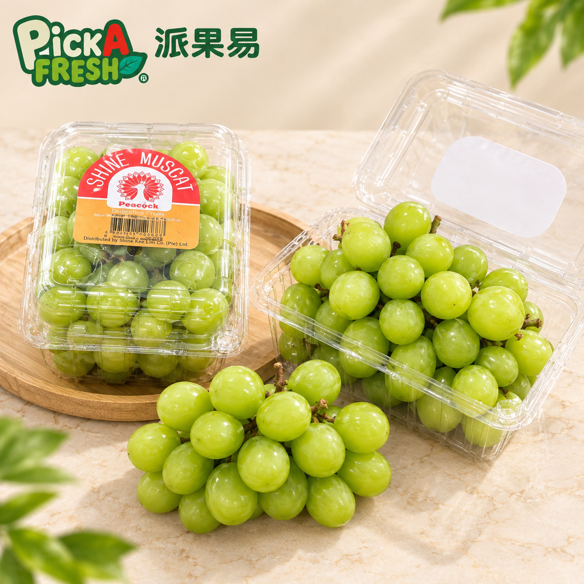 中國孔雀提子500g 1盒