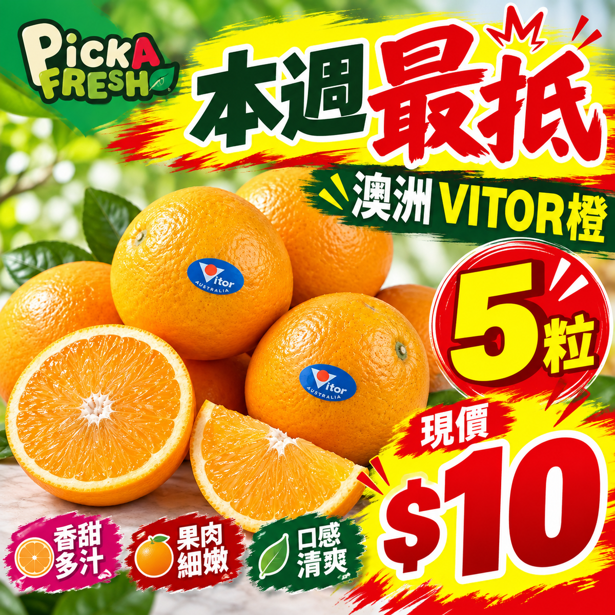 [抵]澳洲橙 5粒