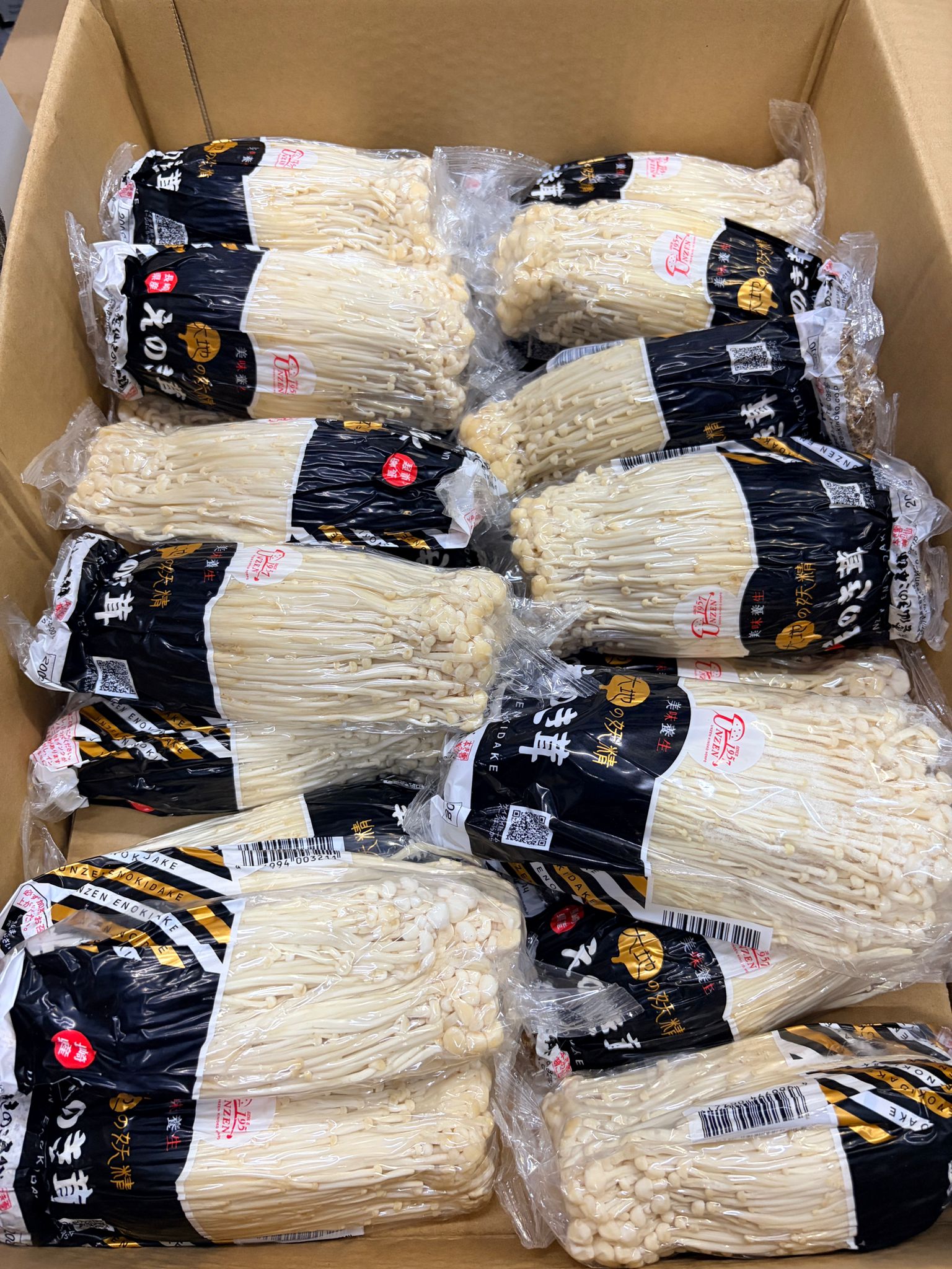 日本長崎金菇 200g  2包
