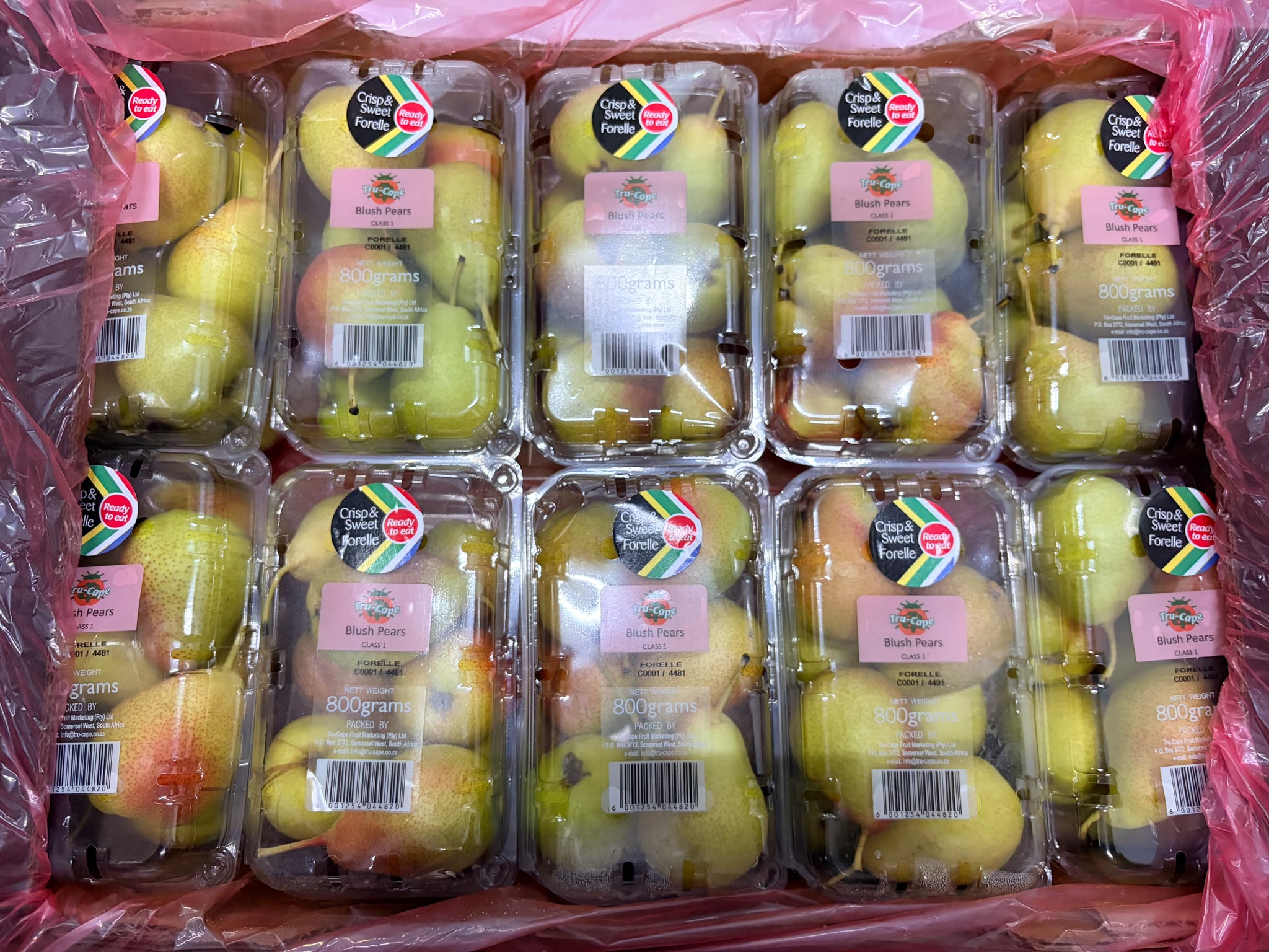 南非胭脂啤梨 800g 1盒