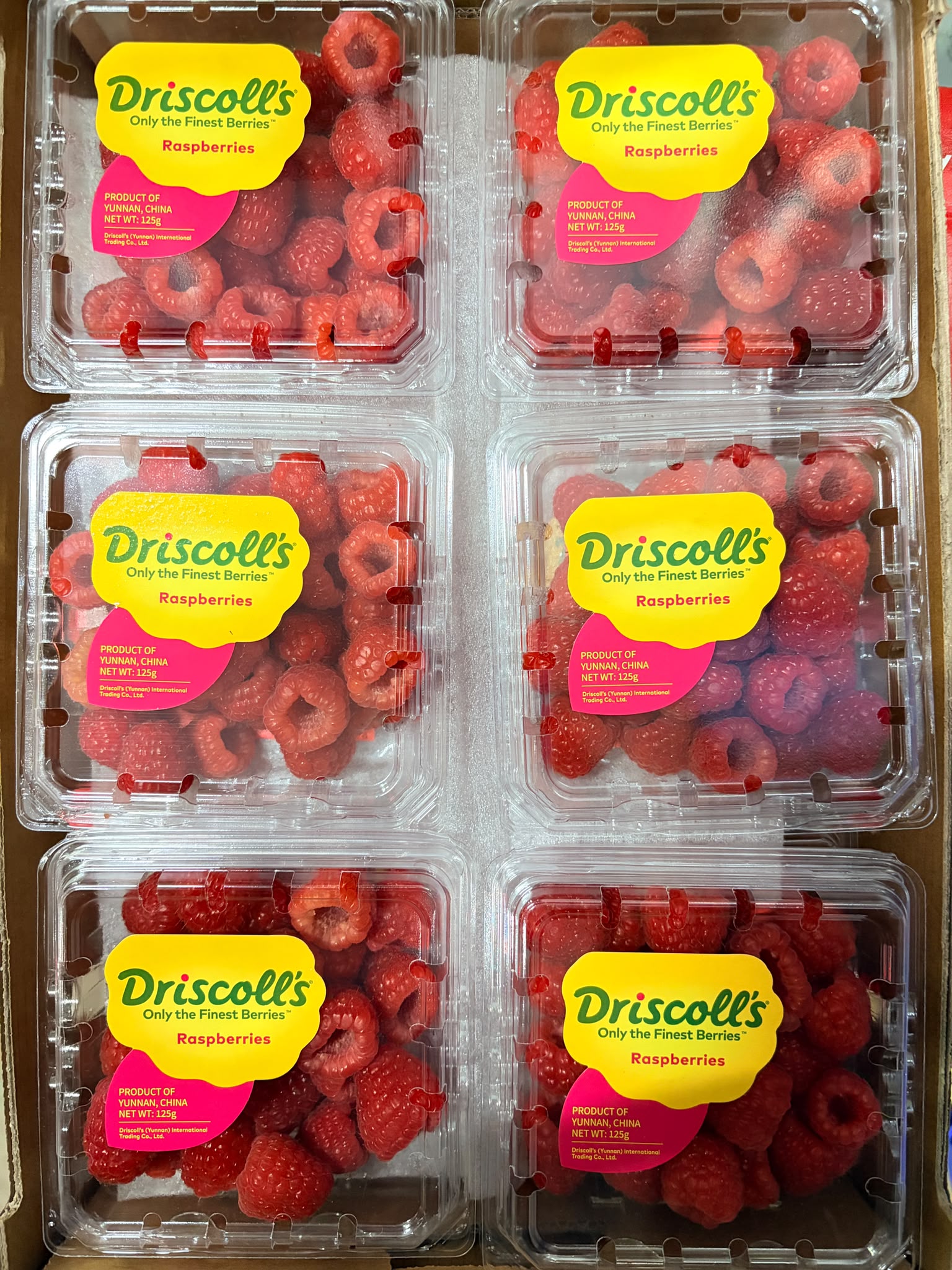 Driscoll's 中國紅桑子125g 1盒