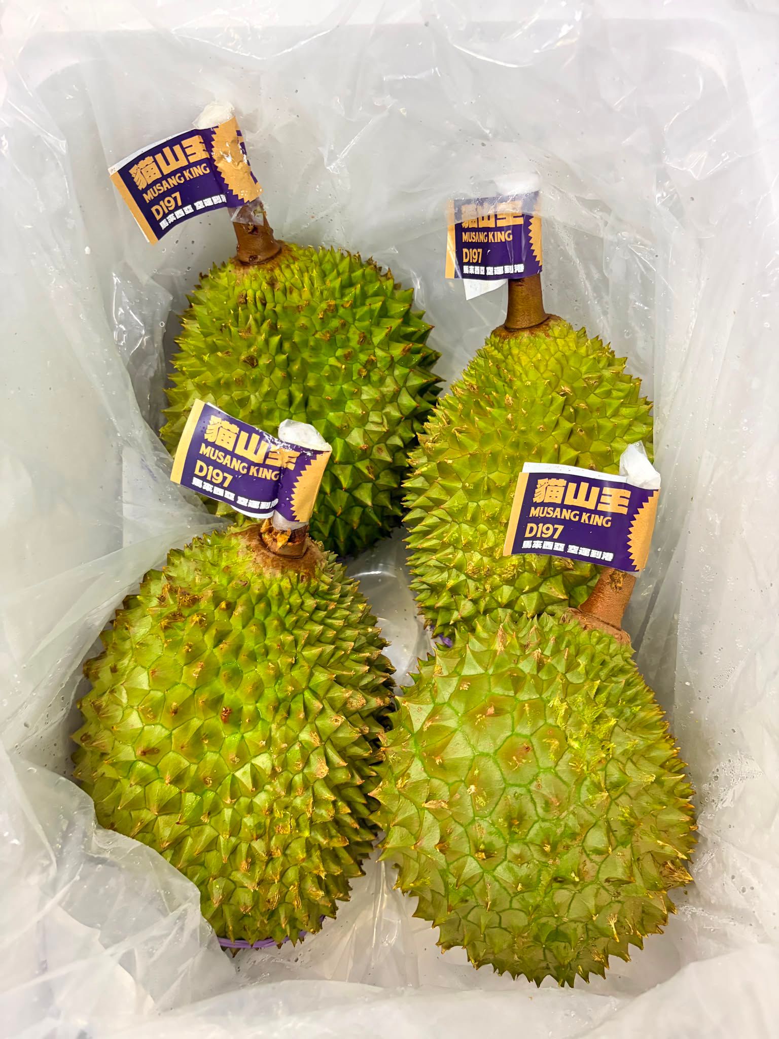 馬來西亞貓山王榴槤 約1.2kg 1個