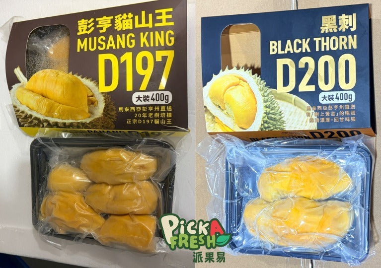 「限時快閃」雙王尊爵組合：貓山王 D197 400g 1盒 & 黑刺 D200 400g 1盒