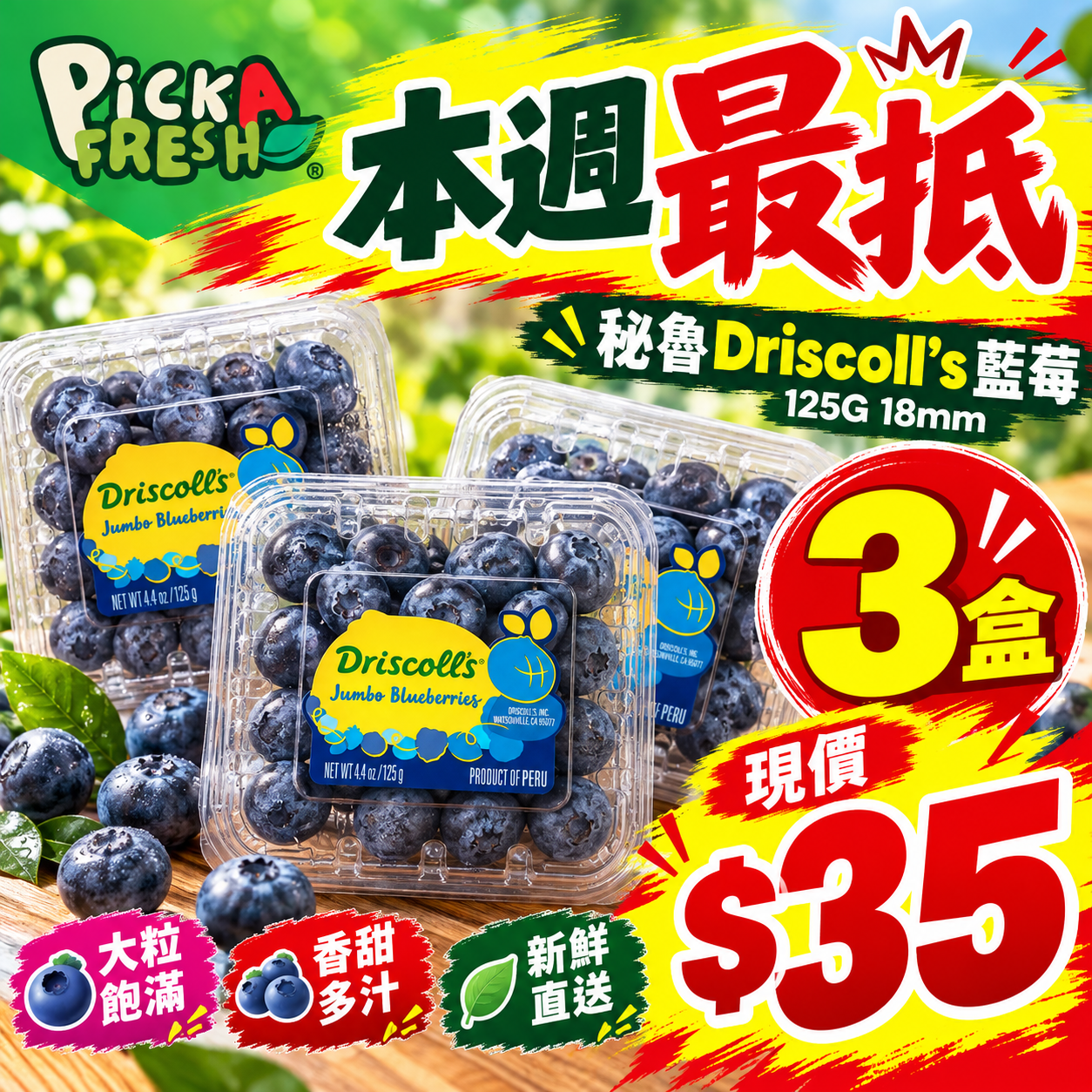 [抵]秘魯driscoll's藍莓125G 18mm 3盒