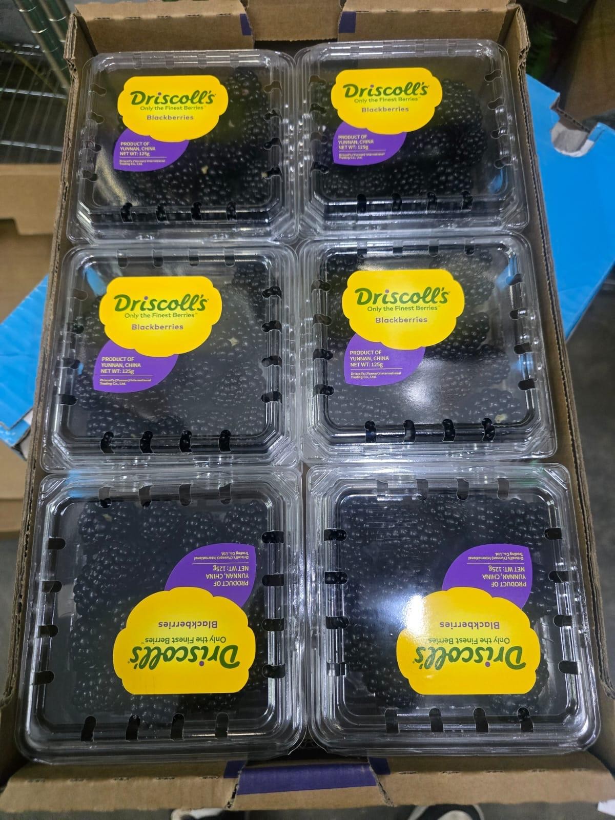 Driscoll's 中國黑桑子125g 1盒