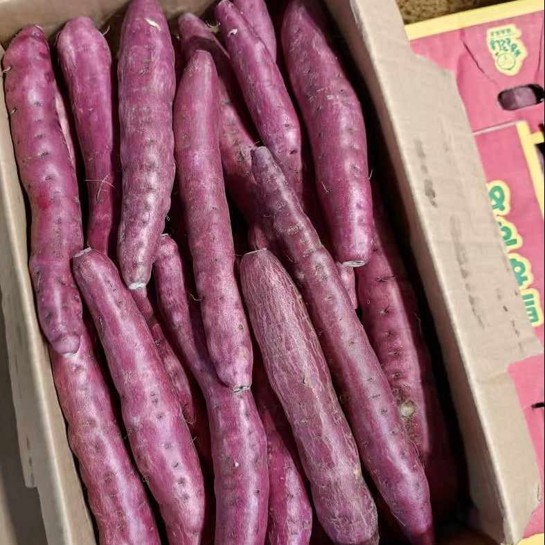 日本金時蕃薯500G